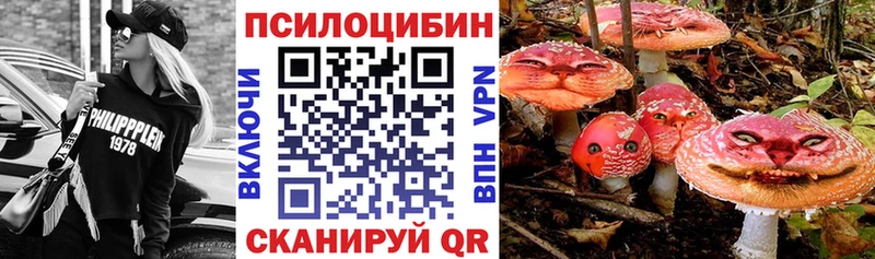 Псилоцибиновые грибы Psilocybe  Щёлково 